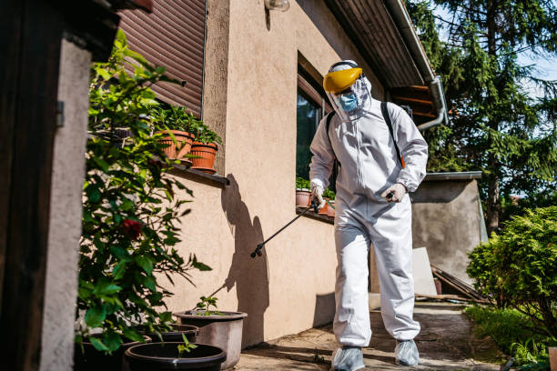 Best Best Pest Control Companies  in Indian River Estates, FL
