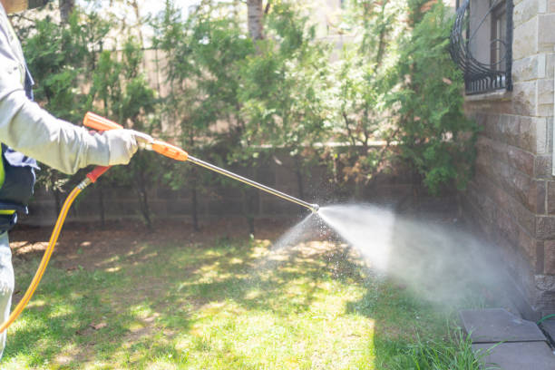 Best Emergency Pest Control  in Indian River Estates, FL