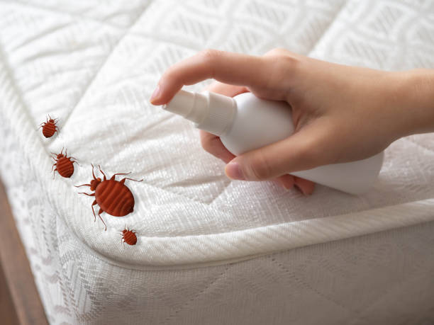 Best Insect Control  in Indian River Estates, FL