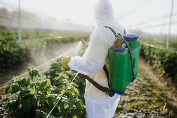 Best Ant Control Services  in Indian River Estates, FL